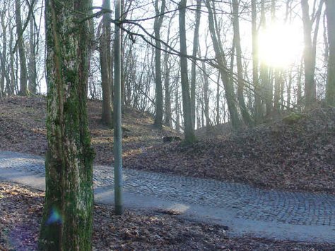 Wallanlage 2009, Schnitt