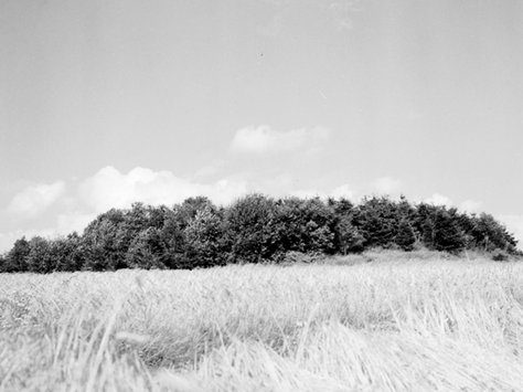 Model des Grabhügels Fuchshügel bei Theley